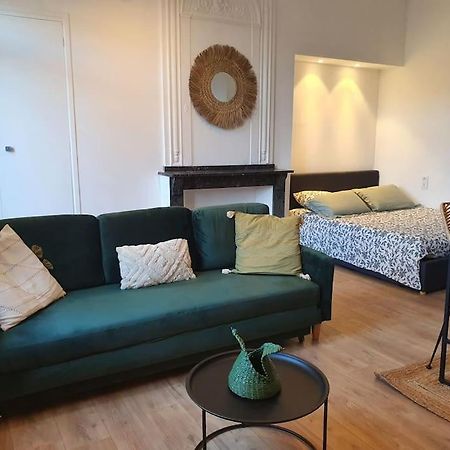 -Garrigue- Face A La Cite Medievale Studio Terrasse Classe 4☆ Каркасон Екстериор снимка