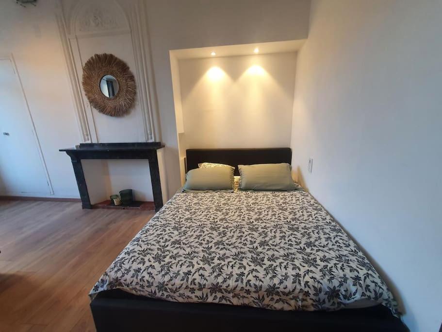 -Garrigue- Face A La Cite Medievale Studio Terrasse Classe 4☆ Каркасон Екстериор снимка